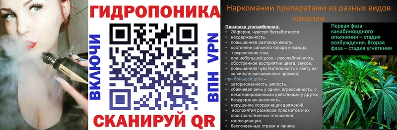 Каннабис гибрид  Снежинск 